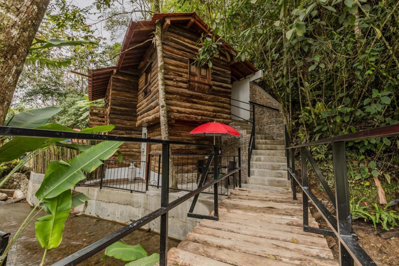 Ecohotel Piedemonte Hotel