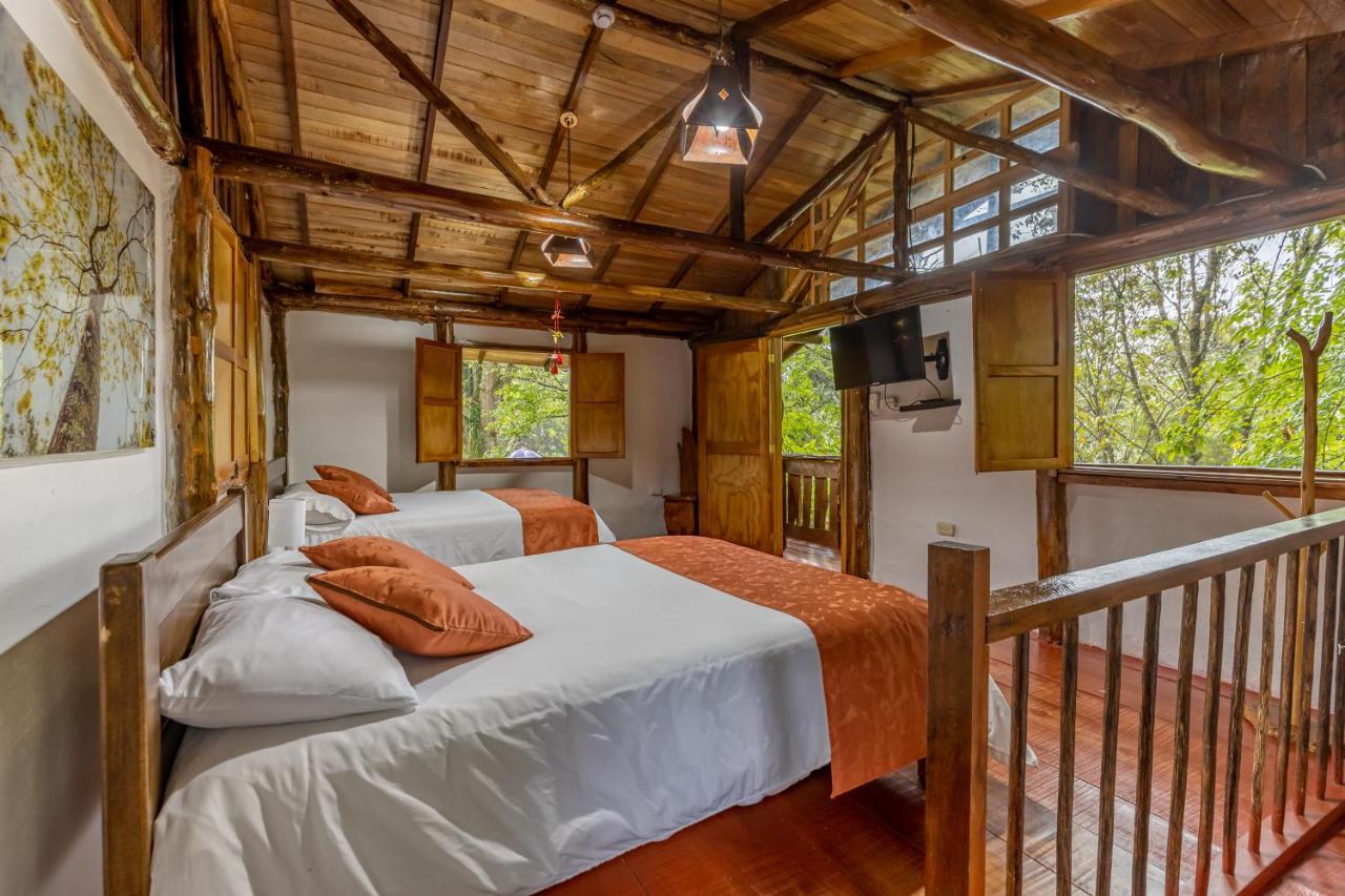 Hotel Ecohotel Piedemonte 4*