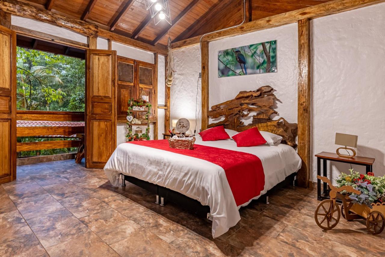 Hotel Ecohotel Piedemonte