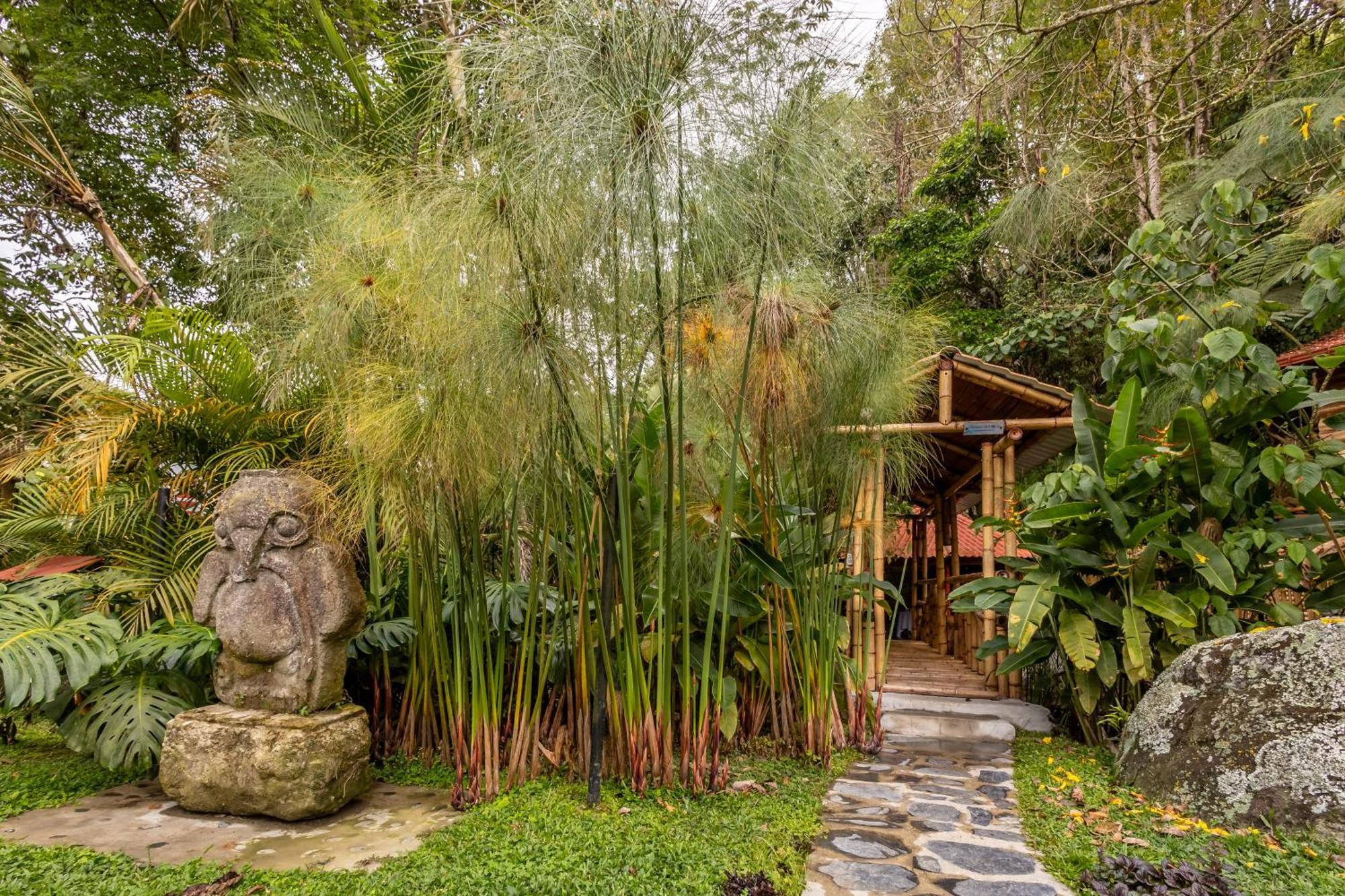 Hotel Ecohotel Piedemonte